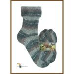 Opal Regenwald 19 4-ply 100 g zeķu dzija 11336